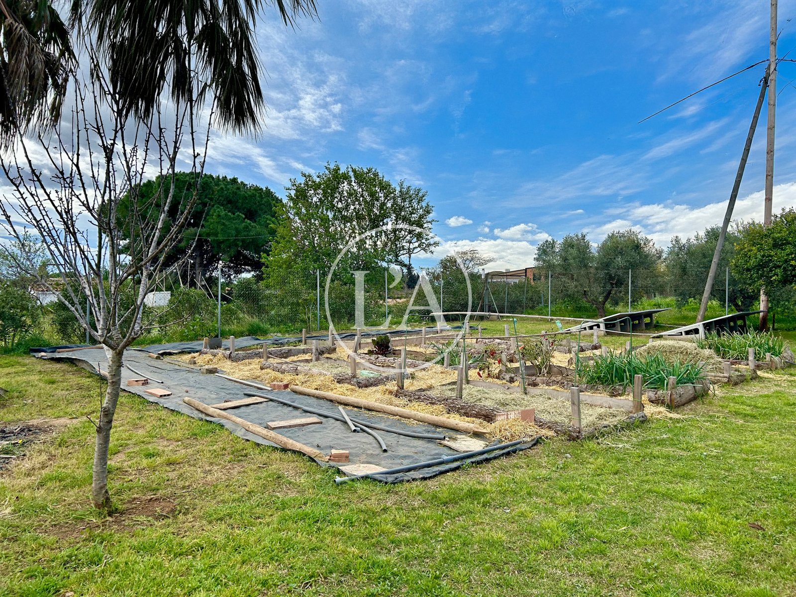 Masía rústica en Riudoms huerto