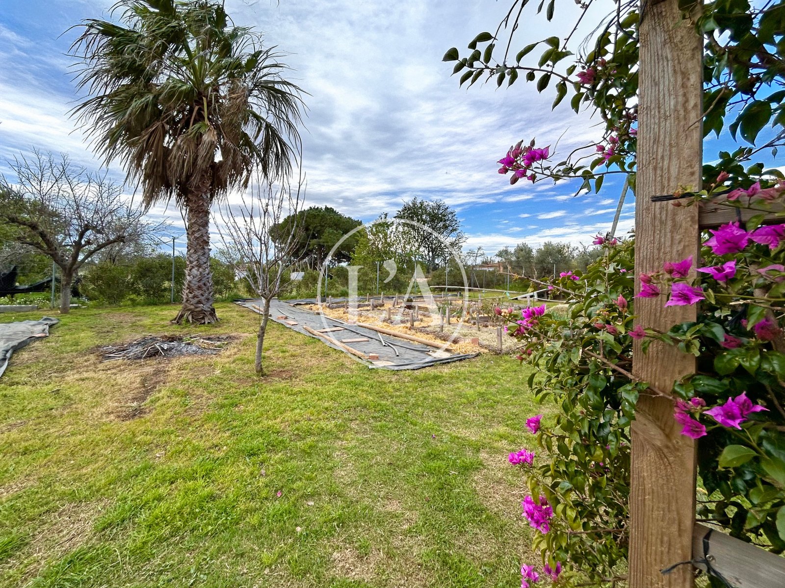 Masía rústica en Riudoms exterior