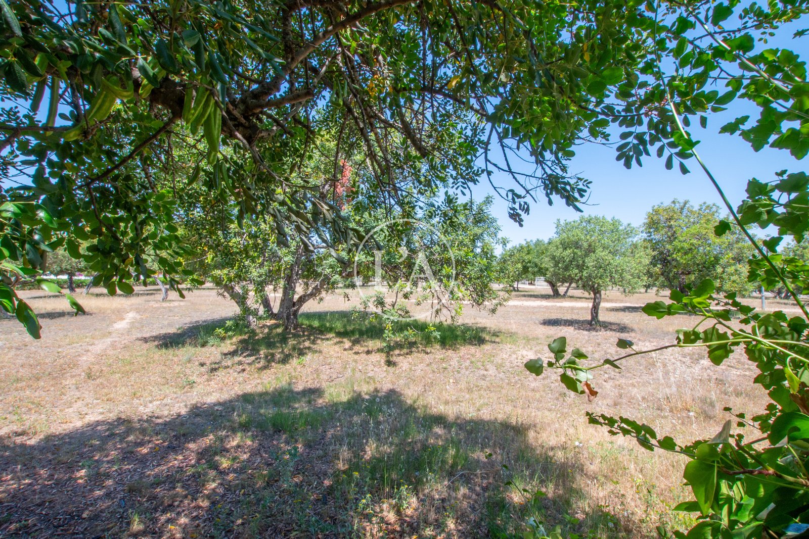 Casa en venta en Vilafortuny Cambrils alrededores
