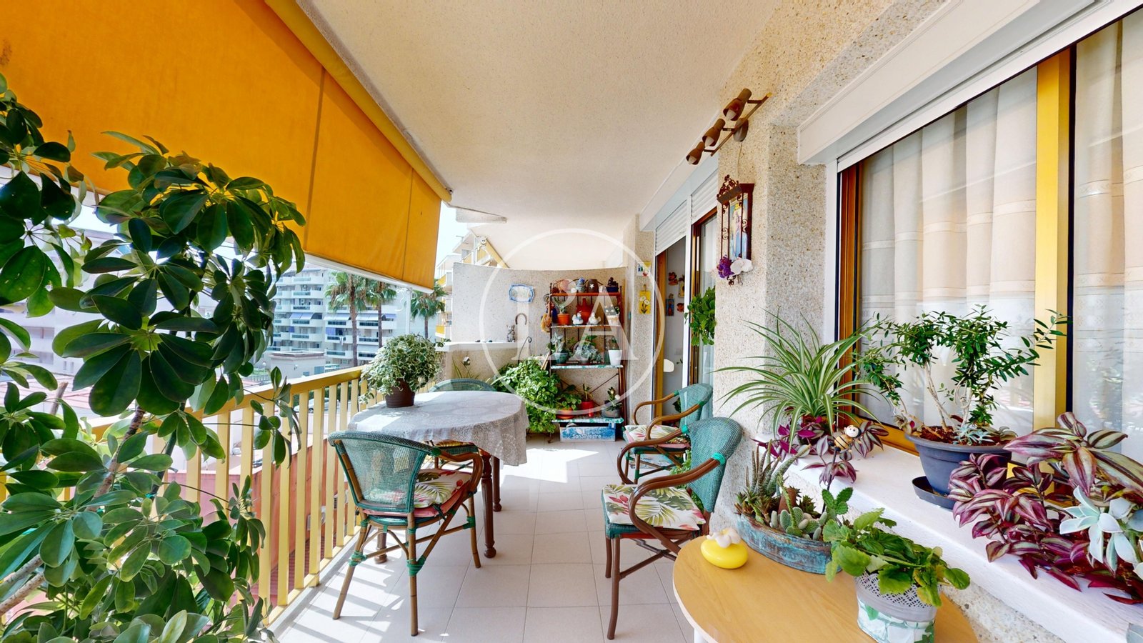 Apartamento en venta en La Pineda terraza principal